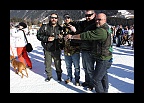 Harley & Snow 2013 (155)